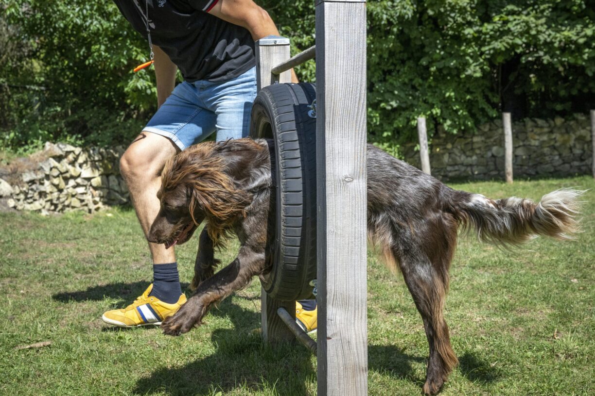 Camping 't Schinkel - Bild 13 Camping 't Schinkel - Bild 13