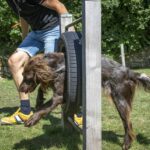 Camping 't Schinkel - Bild 13 Camping 't Schinkel - Bild 13