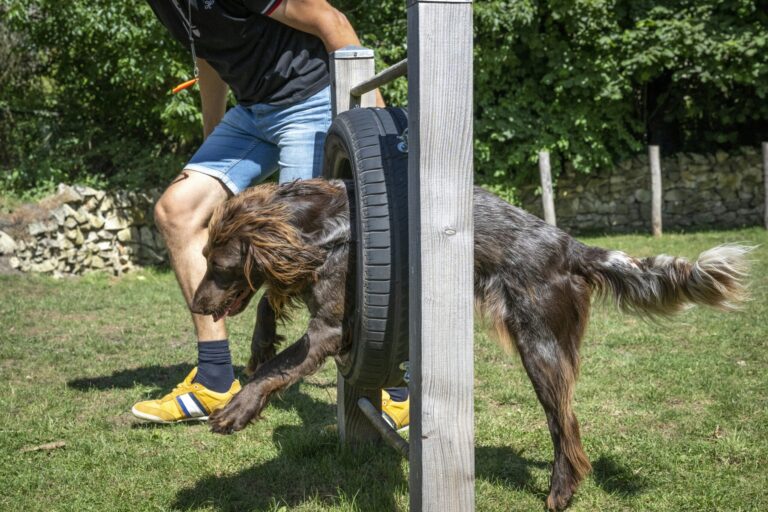 Camping 't Schinkel - Bild 13 Camping 't Schinkel - Bild 13