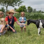 Camping 't Weergors - Bild 16 Camping 't Weergors - Bild 16