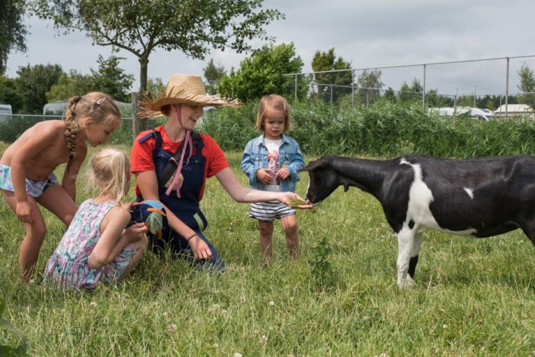 Camping 't Weergors - Bild 16 Camping 't Weergors - Bild 16