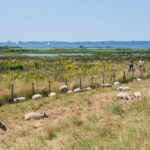 Camping 't Weergors - Bild 18 Camping 't Weergors - Bild 18