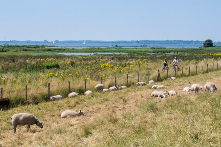 Camping 't Weergors - Bild 18 Camping 't Weergors - Bild 18