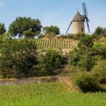 Camping De Santenay - Bild 1 Camping De Santenay - Bild 1