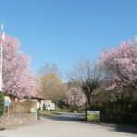 Camping De La Gartempe - Bild 1 Camping De La Gartempe - Bild 1