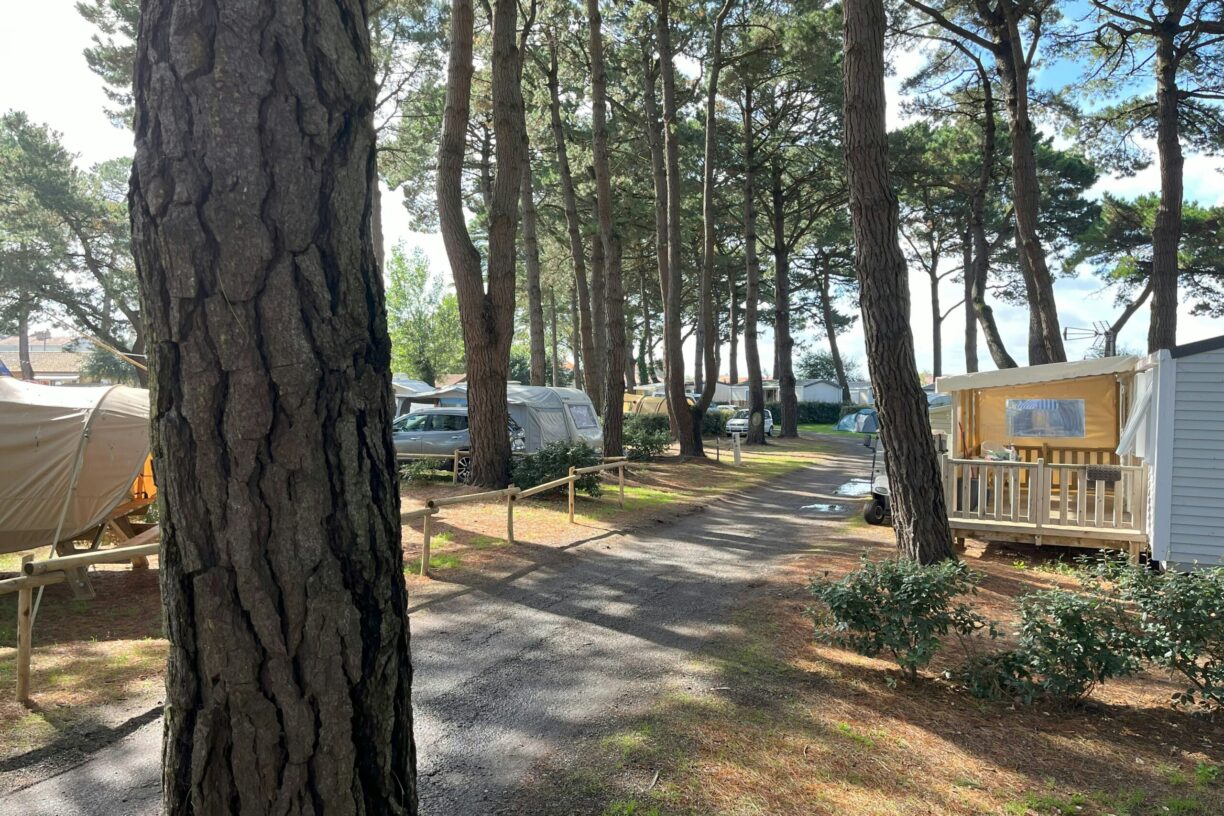 Camping L'estuaire - Bild 1 Camping L'estuaire - Bild 1