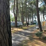 Camping L'estuaire - Bild 1 Camping L'estuaire - Bild 1