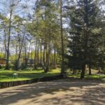 Camping Les Sapins De Corrèze - Bild 1 Camping Les Sapins De Corrèze - Bild 1