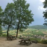 Les Bois De Prayssac - Bild 1 Les Bois De Prayssac - Bild 1