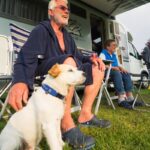 Campingpark Hüttensee - Lüneburger Heide - Bild 11 Campingpark Hüttensee - Lüneburger Heide - Bild 11