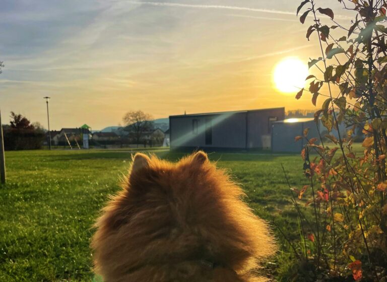 Campingpark Nabburg - Bild 14 Campingpark Nabburg - Bild 14