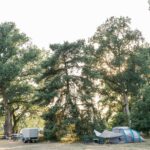 Campingpark Südheide - Bild 11 Campingpark Südheide - Bild 11