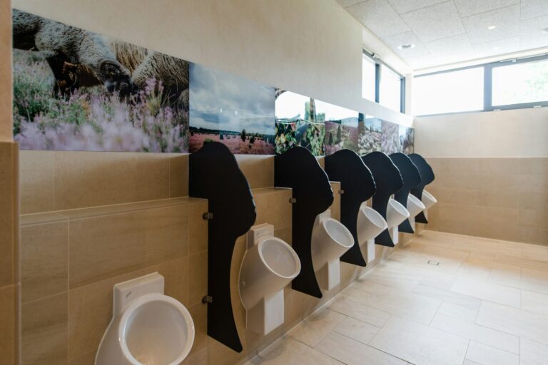 Campingpark Südheide - Bild 14 Campingpark Südheide - Bild 14