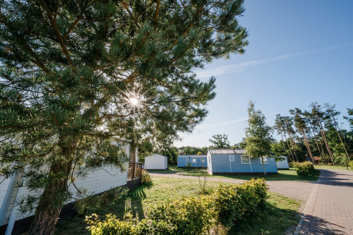 Campingpark Südheide - Bild 4 Campingpark Südheide - Bild 4