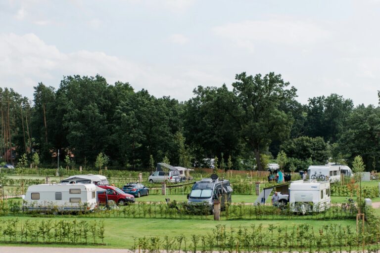 Campingpark Südheide - Bild 5 Campingpark Südheide - Bild 5