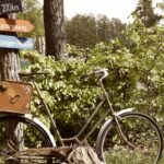 Campingplatz Am Großen Wentowsee - Bild 9 Campingplatz Am Großen Wentowsee - Bild 9