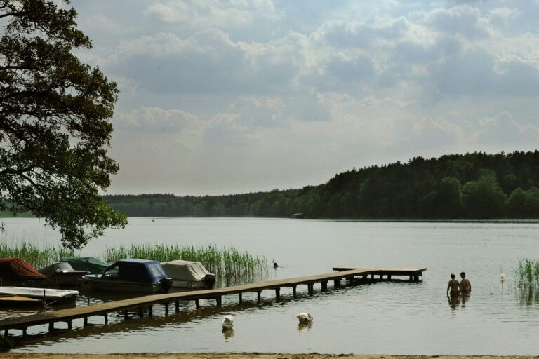 Campingplatz Am Leppinsee - Bild 4