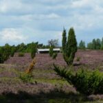 Campingplatz Auf Dem Simpel - Bild 17