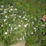 Campingplatz Bergmühle - Bild 7