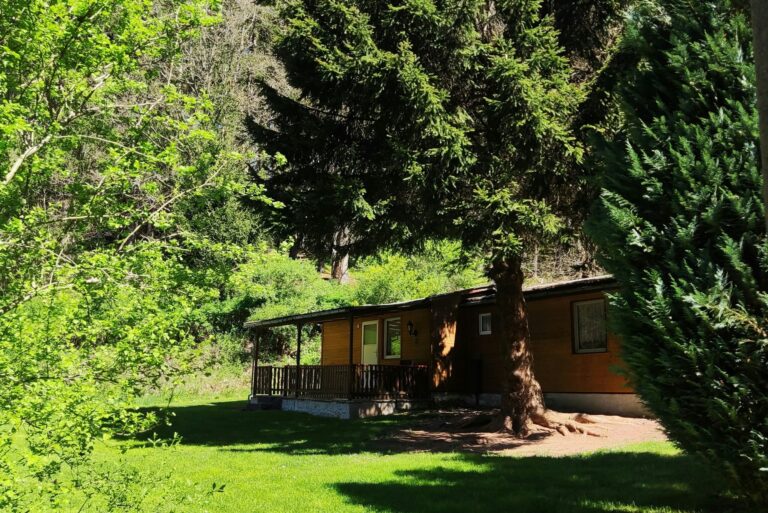 Campingplatz & Bungalowdorf "am Waldbad" - Bild 3