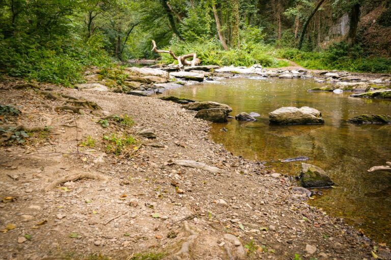 Campingplatz Haumühle - Bild 5 Campingplatz Haumühle - Bild 5