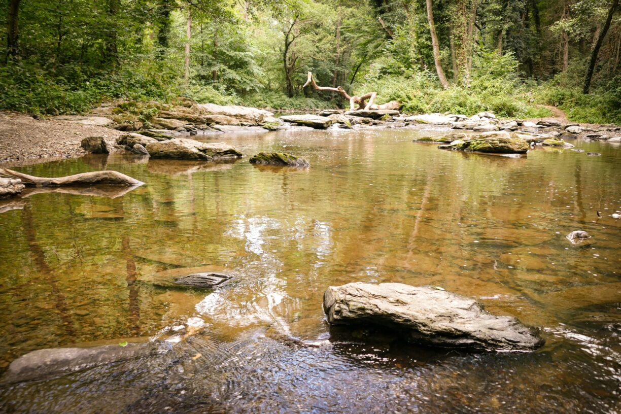 Campingplatz Haumühle - Bild 6 Campingplatz Haumühle - Bild 6