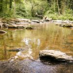 Campingplatz Haumühle - Bild 6 Campingplatz Haumühle - Bild 6