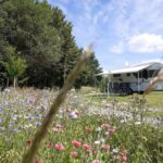 Campingplatz Hof Biggen - Bild 4 Campingplatz Hof Biggen - Bild 4