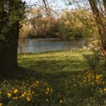 Campingplatz Ideal - Bild 4 Campingplatz Ideal - Bild 4