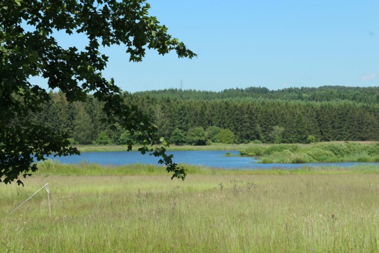 Campingplatz Jungferweiher - Bild 14