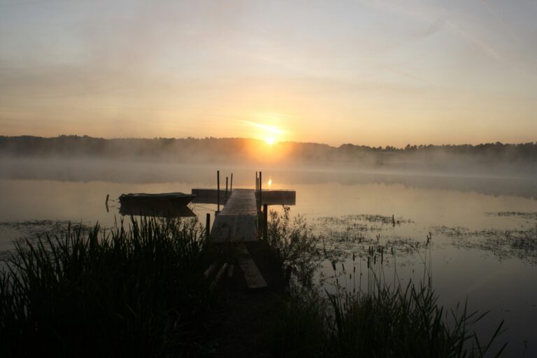 Campingplatz Jungferweiher - Bild 18