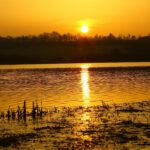 Campingplatz Jungferweiher - Bild 19