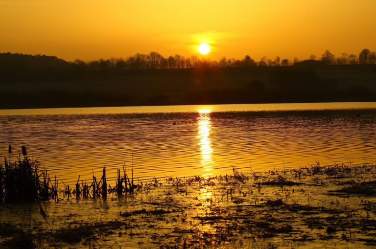 Campingplatz Jungferweiher - Bild 19