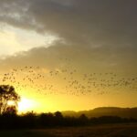 Campingplatz Jungferweiher - Bild 20