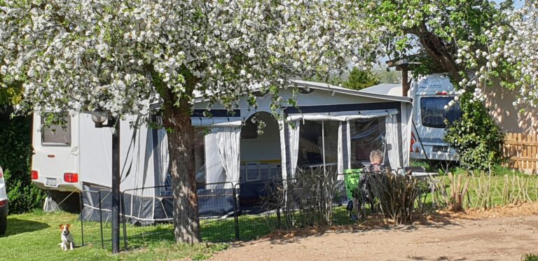 Campingplatz Landidyll - Bild 2