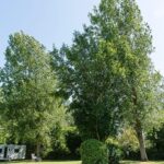 Castel Camping De La Bien Assise - Bild 8 Castel Camping De La Bien Assise - Bild 8