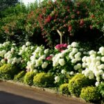 Castel Camping Les Bois Du Bardelet - Bild 9