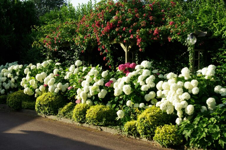 Castel Camping Les Bois Du Bardelet - Bild 9