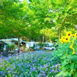 Centro Vacanze Pra' Delle Torri - Bild 8