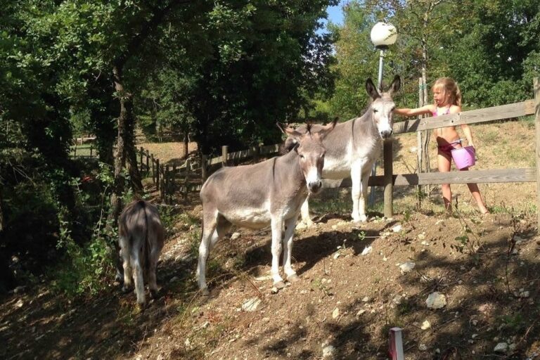 Centro Vacanze San Marino - Bild 19