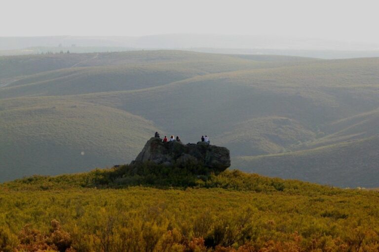 Cepo Verde - Bild 17 Cepo Verde - Bild 17