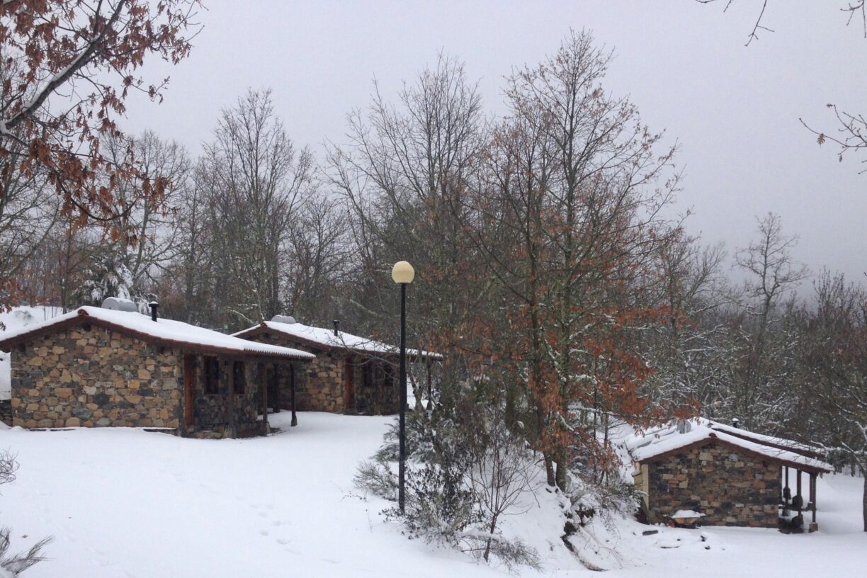 Cepo Verde - Bild 19 Cepo Verde - Bild 19