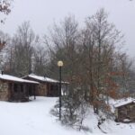 Cepo Verde - Bild 19 Cepo Verde - Bild 19