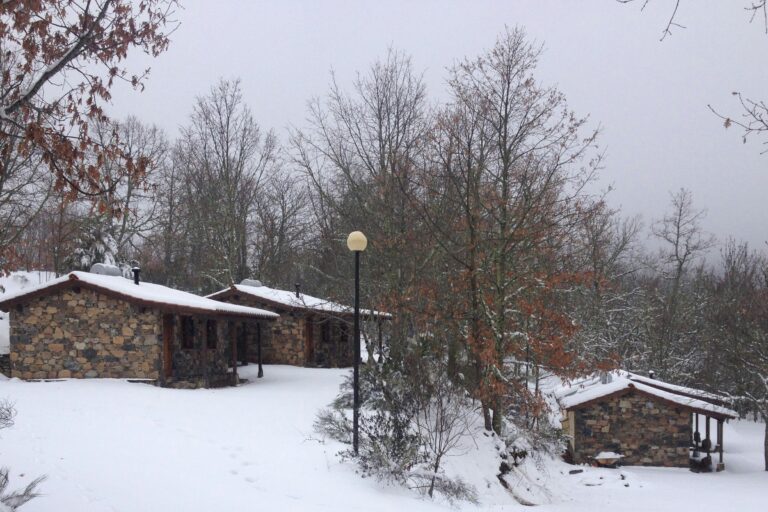 Cepo Verde - Bild 19 Cepo Verde - Bild 19