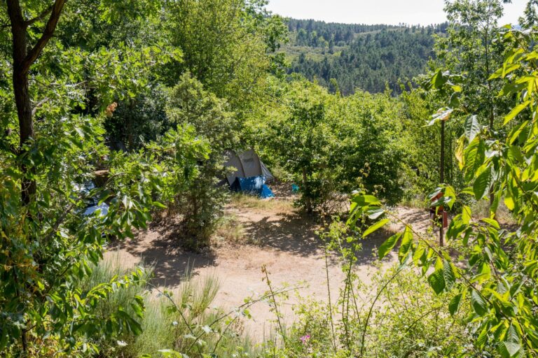 Cepo Verde - Bild 2 Cepo Verde - Bild 2