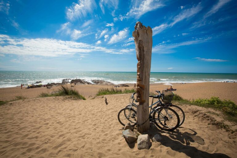 Chadotel Camping La Dune Des Sables - Bild 18