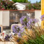 Chadotel Camping Le Roussillon - Bild 3