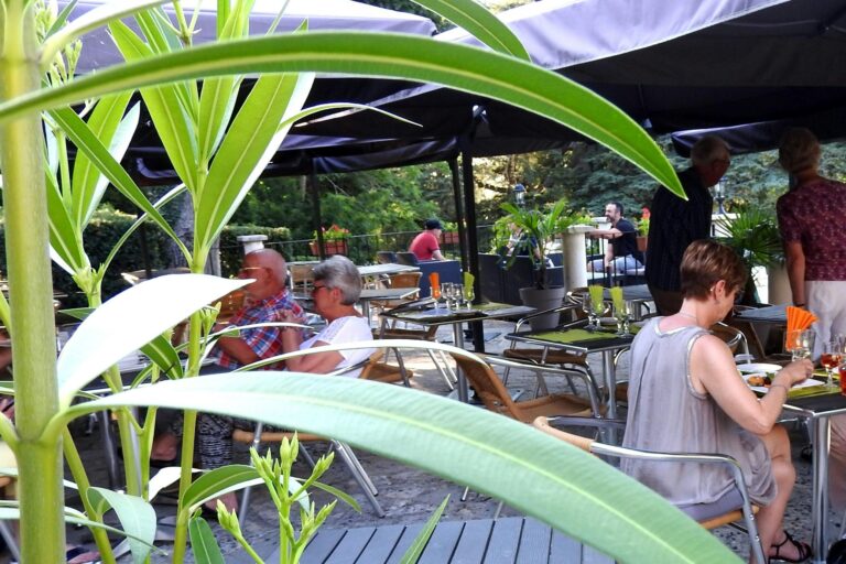 Château De Lacomté Country Club - Bild 9