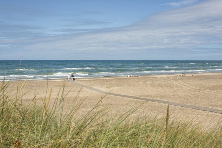 Dcu-camping Tranum - Bild 1 Dcu-camping Tranum - Bild 1