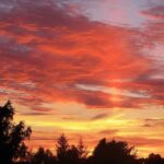 Dalgård Camping - Bild 10